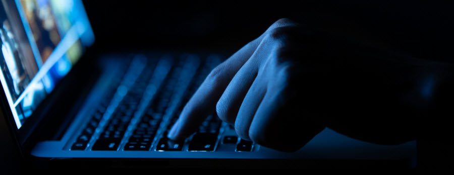person on laptop looking at photos